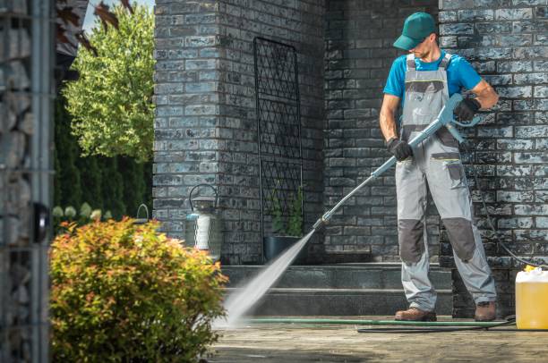 Best Roof Cleaning and Mildew Removal in Deer Park, TX